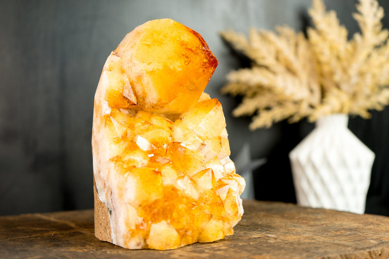 Citrine Cluster with Rare Large Citrine Point, Orange Citrine Color, Intact
