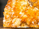 Premium Golden-Orange Citrine Flower Cluster with Sparkly Citrine Druzy, Med Size - 1.8 Kg - 3.9 lb - E2D Crystals & Minerals