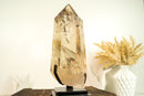 Epic Natural Raw Citrine Crystal Quartz, AAA Honey Yellow Citrine, X Large Size, and Water Clear - Ethically Sourced - 3.9 Kg - 8.7 lb - E2D Crystals & Minerals