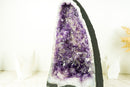 Dunkelviolette Amethyst-Geode mit seltener blumenartiger Drusenformation und Kalzit