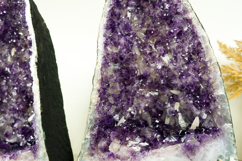 Paar dunkelviolette Amethyst-Geoden mit seltener blumenartiger Drusenformation und Kalzit-Einschlüssen