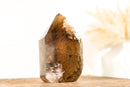 Natural High-Grade Bronze Smoky Quartz with a Marine Landscape Lodolite Quartz