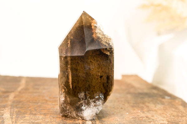 Natural High-Grade Bronze Smoky Quartz with a Marine Landscape Lodolite Quartz