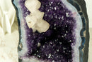 Wunderschöne Amethyst-Geode mit tiefvioletter Amethyst-Druse, blauem Spitzenachat und Kalzitformation