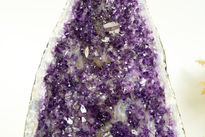 Deep Purple Amethyst Geode with Rare Flower-Like Druzy Formation and Calcite Inclusions