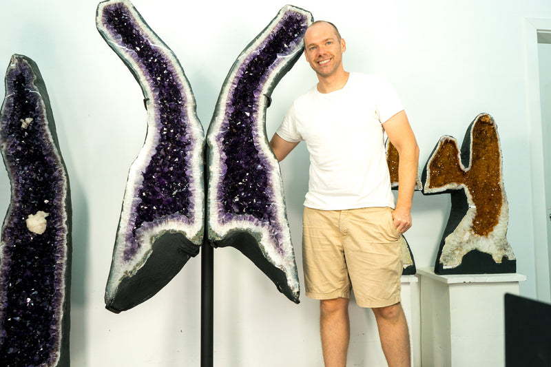 Riesige 6,4 Fuß tiefviolette Amethyst-Geodenflügel