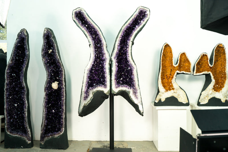 Riesige 6,4 Fuß tiefviolette Amethyst-Geodenflügel