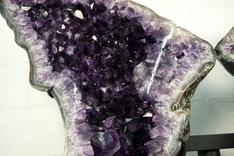 Extra Large Amethyst Butterfly Wings Geode with Polished Back and Large, AAA Deep Purple Amethyst Crystal